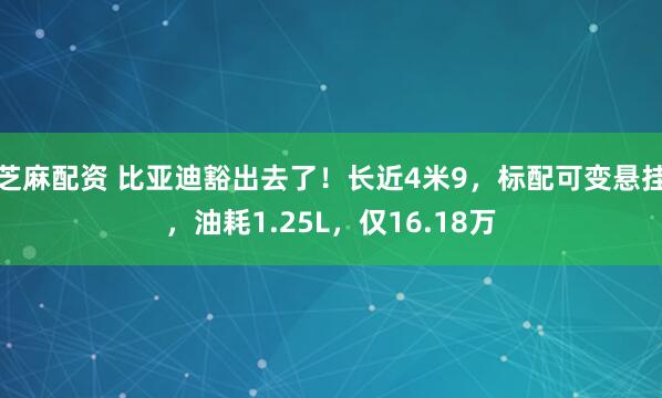 芝麻配资 比亚迪豁出去了！长近4米9，标配可变悬挂，油耗1.25L，仅16.18万
