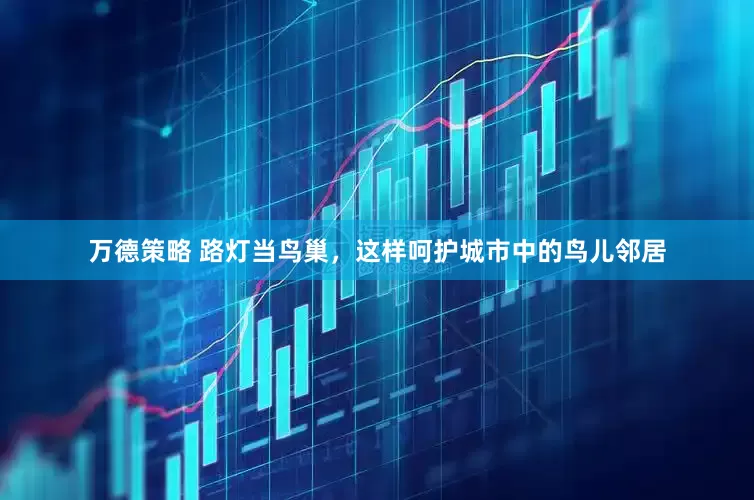 万德策略 路灯当鸟巢，这样呵护城市中的鸟儿邻居