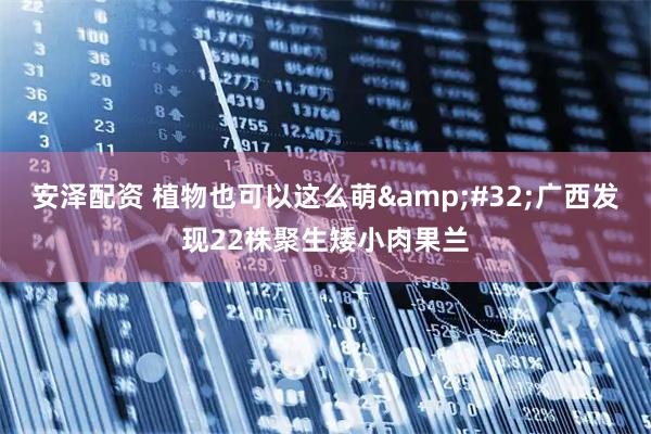 安泽配资 植物也可以这么萌&#32;广西发现22株聚生矮小肉果兰