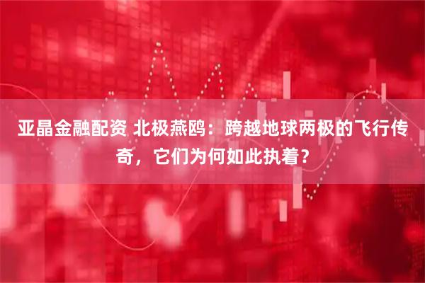 亚晶金融配资 北极燕鸥：跨越地球两极的飞行传奇，它们为何如此执着？
